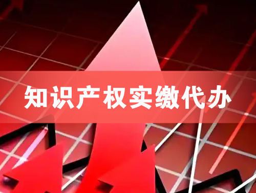 日照知识产权实缴资本代办